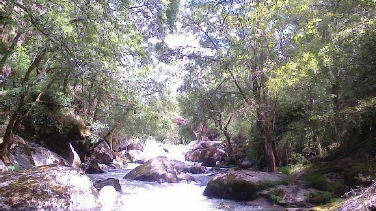 Photo of Outdoor in Amarante