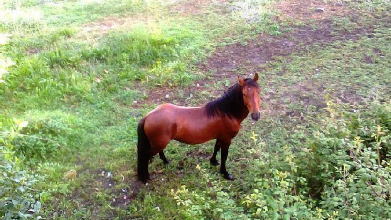 Photo of Outdoor in Amarante