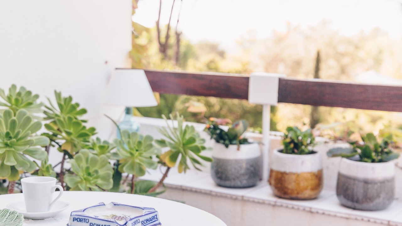 Photo of Outdoor in Aldeia de Irmaos