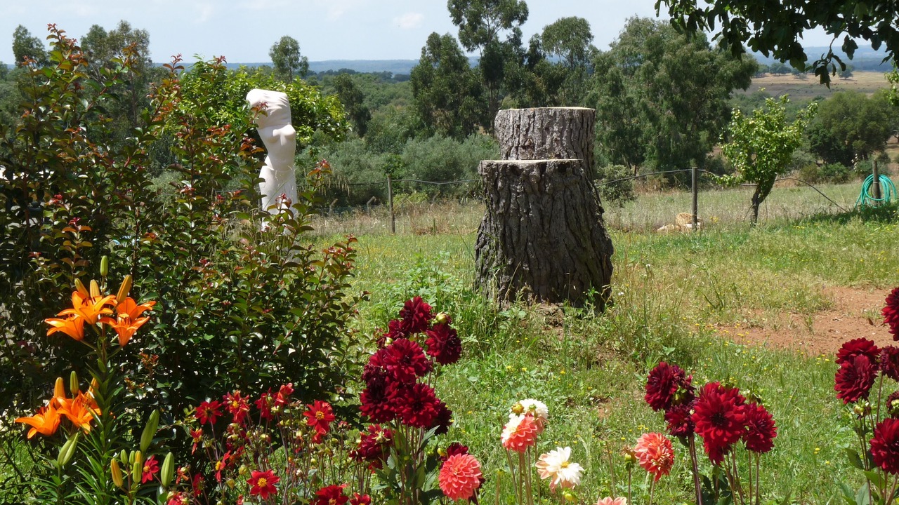 Photo of Outdoor in Montemor-o-Novo