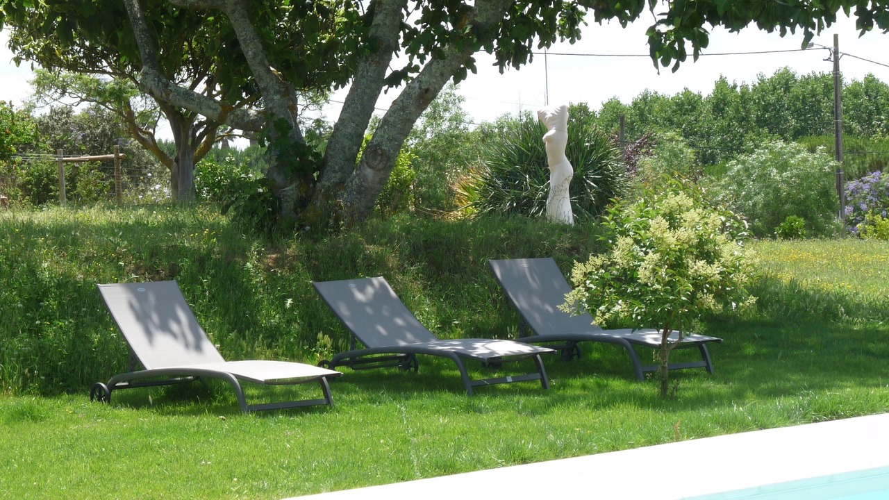 Photo of Outdoor in Montemor-o-Novo