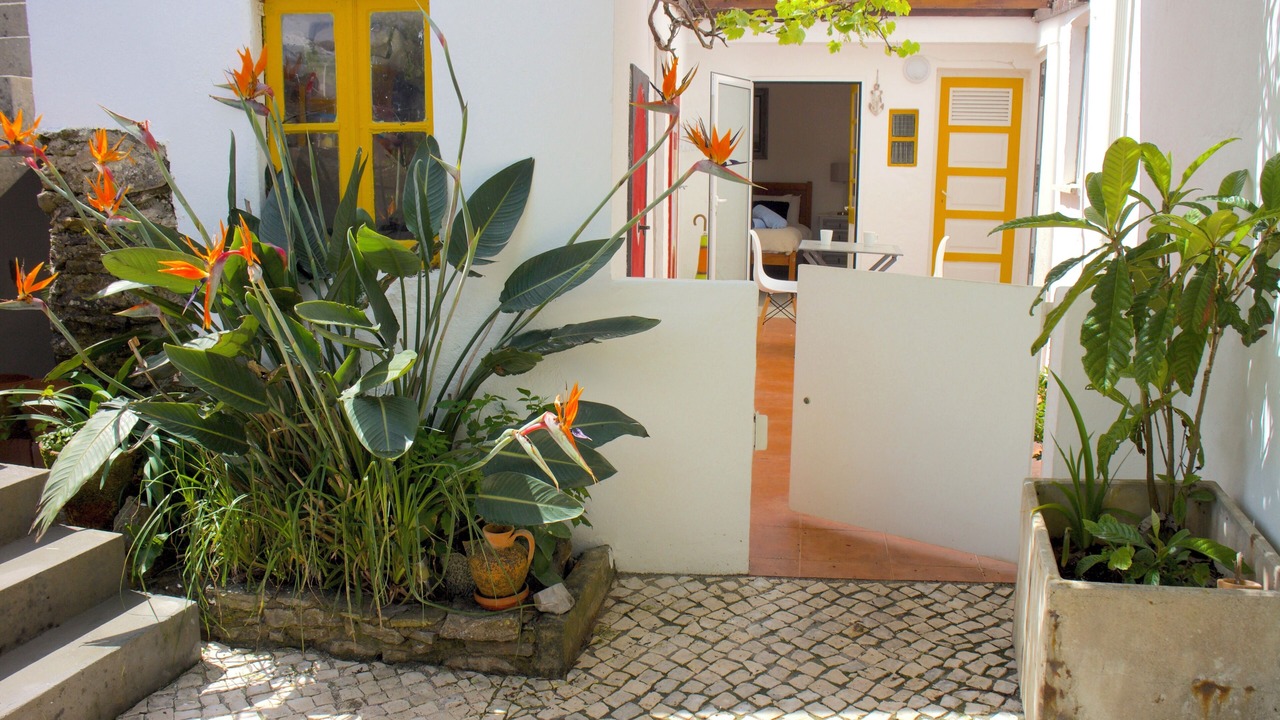 Photo of Outdoor in Famalicao