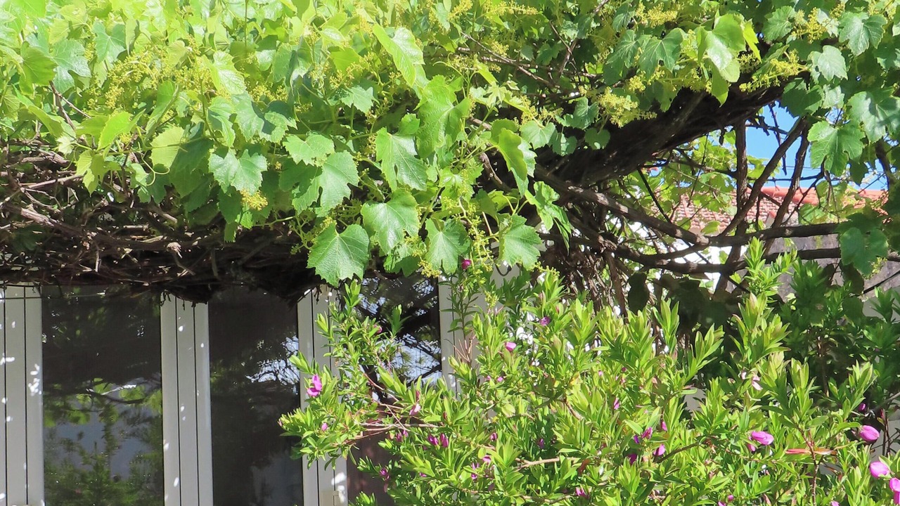 Photo of Outdoor in Famalicao