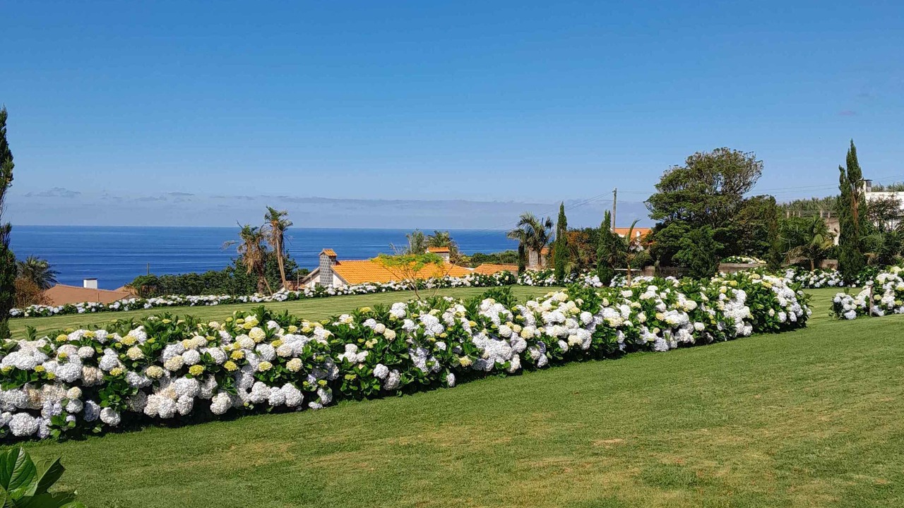 Photo of Outdoor in Ponta Delgada