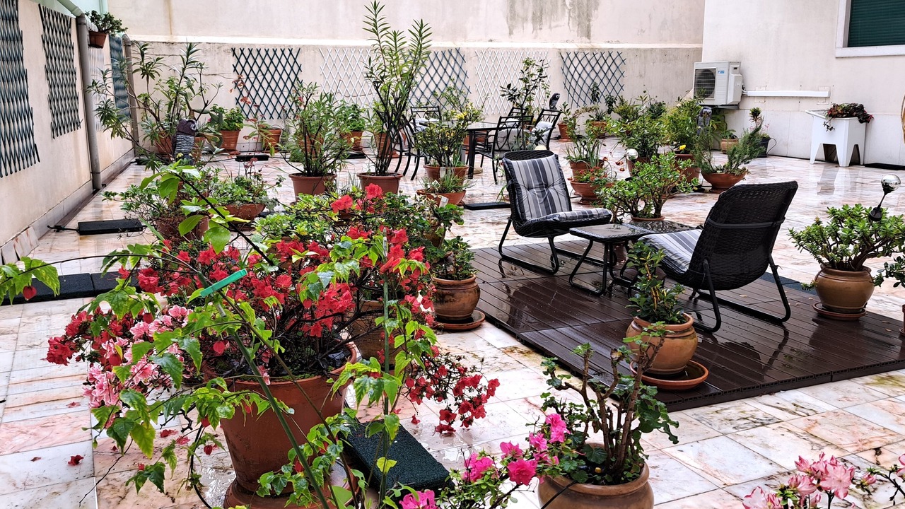Photo of Outdoor in Pena