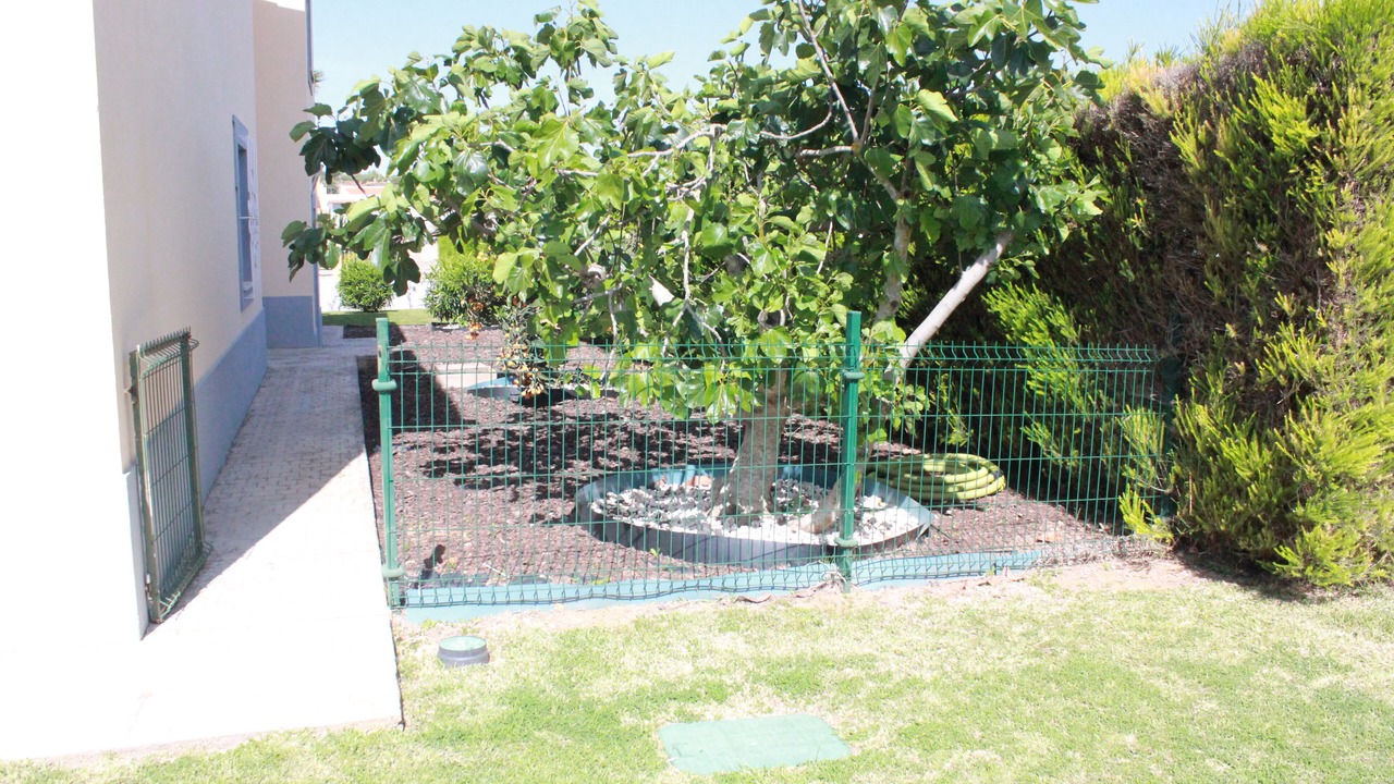 Photo of Outdoor in Parchal