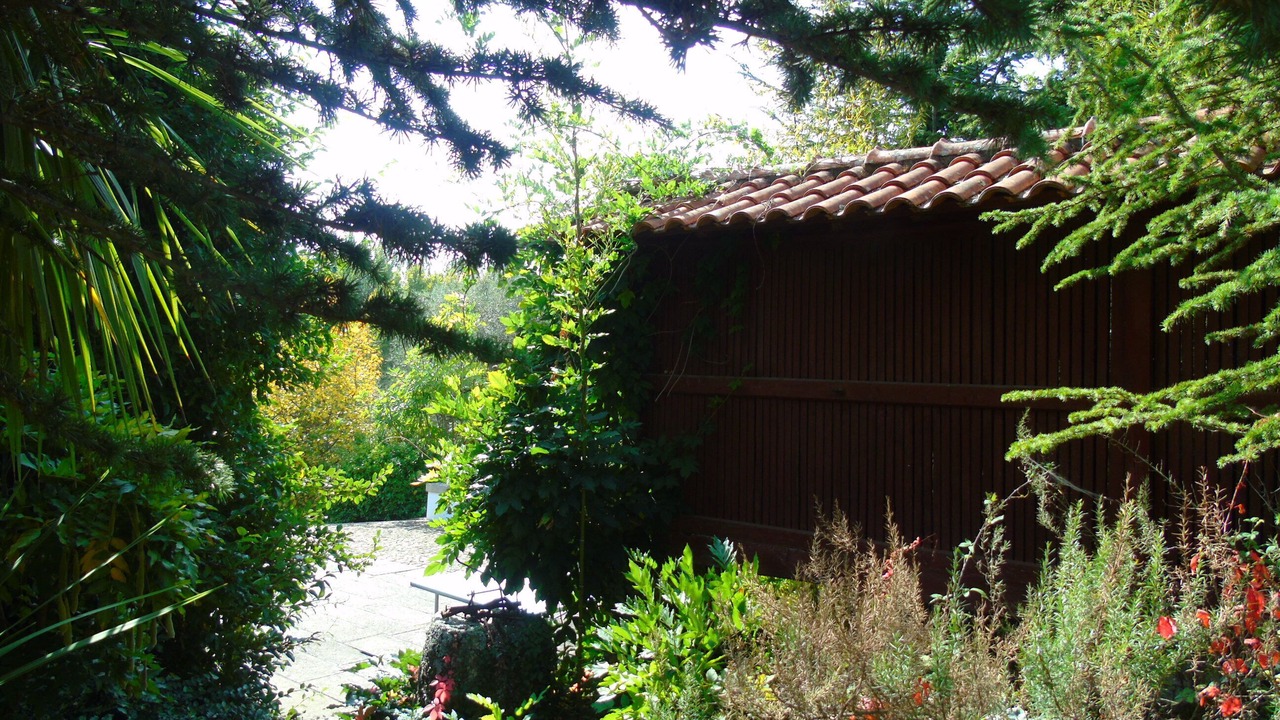 Photo of Outdoor in Molares