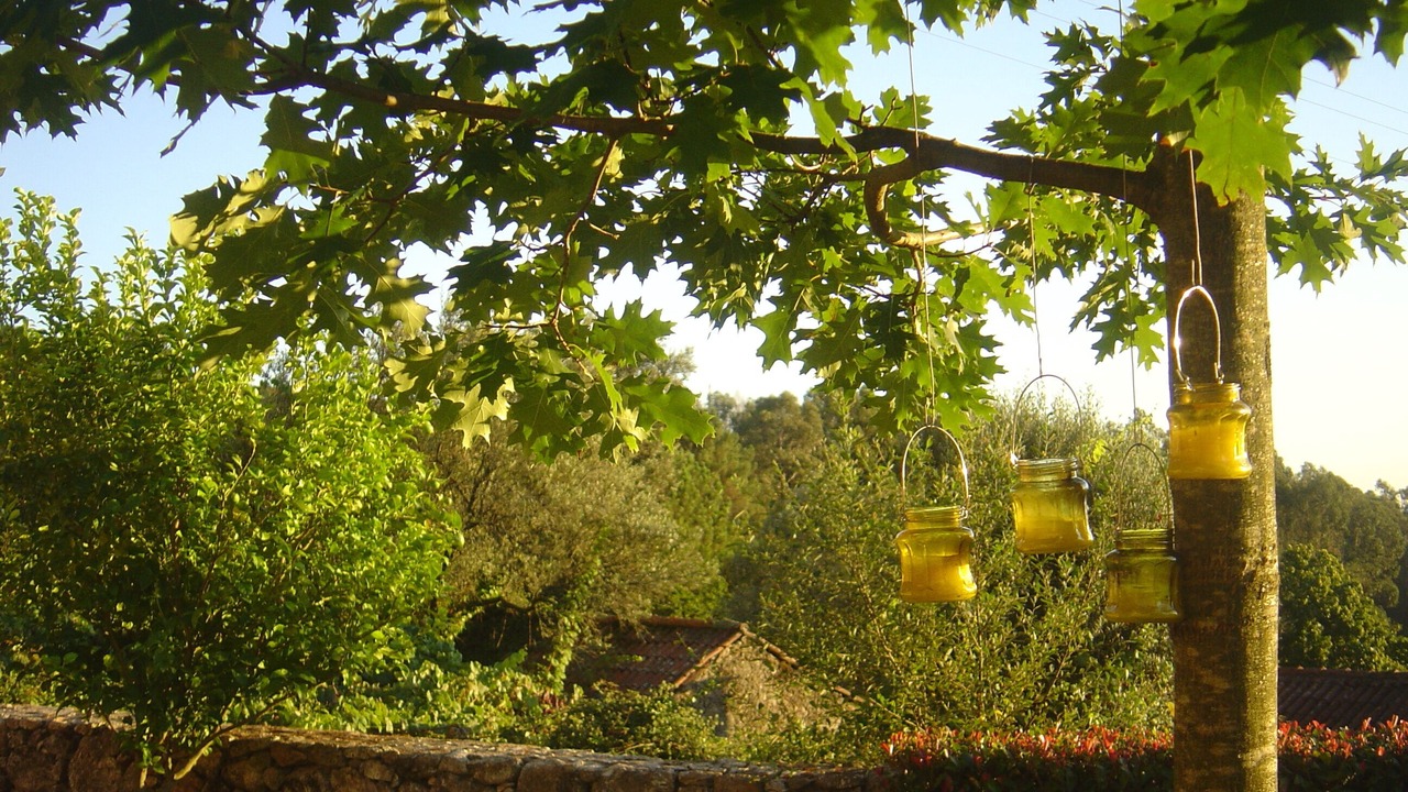 Photo of Outdoor in Bico