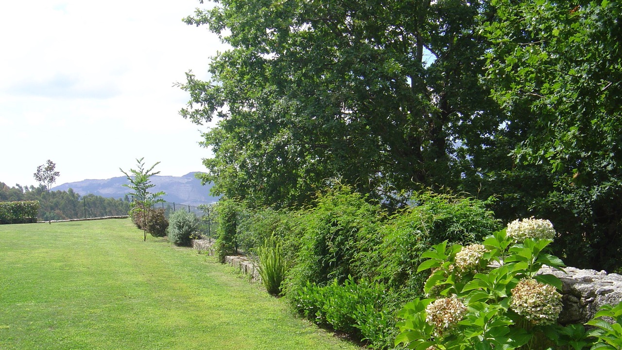 Photo of Outdoor in Bico