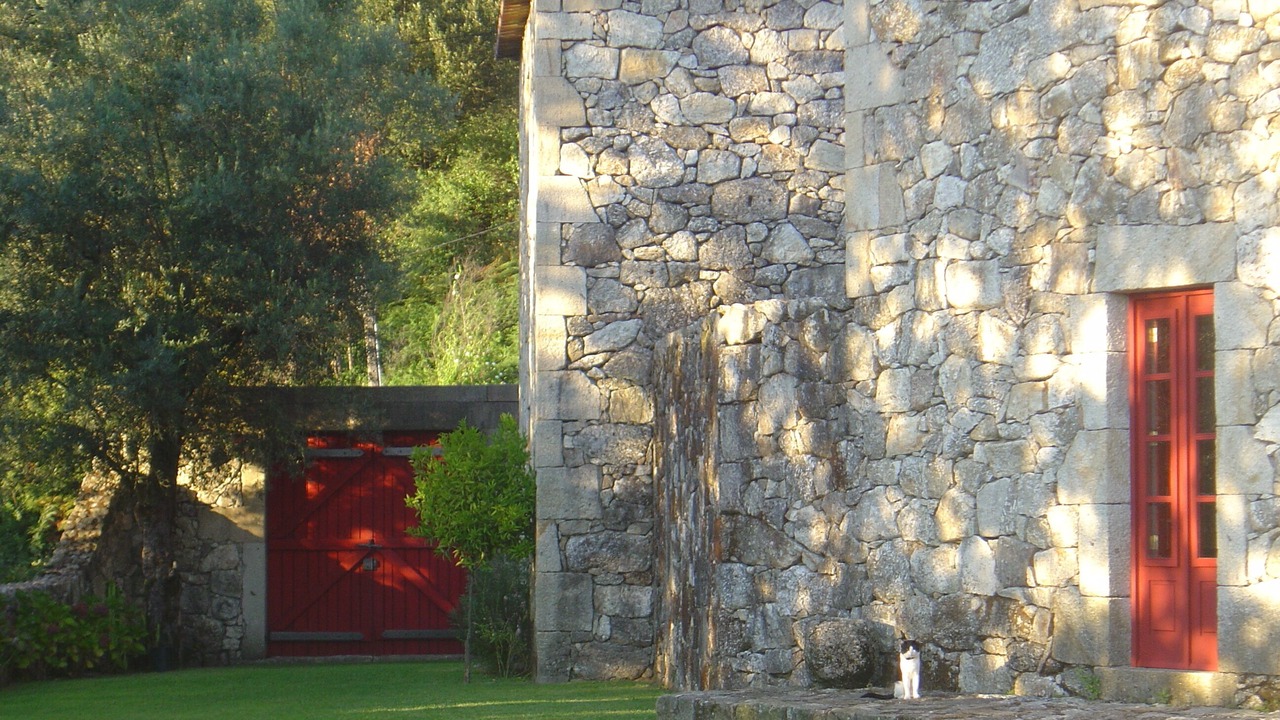 Photo of Outdoor in Bico