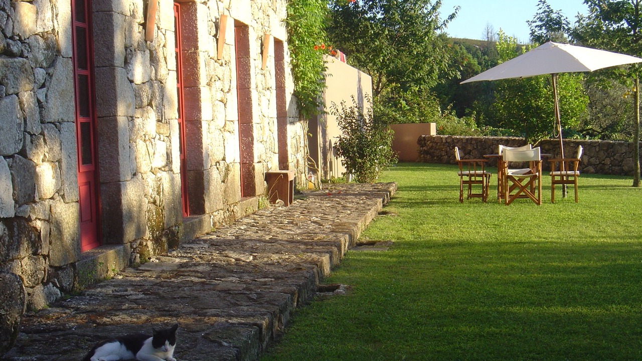 Photo of Outdoor in Bico