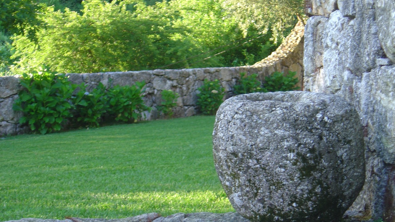 Photo of Outdoor in Bico