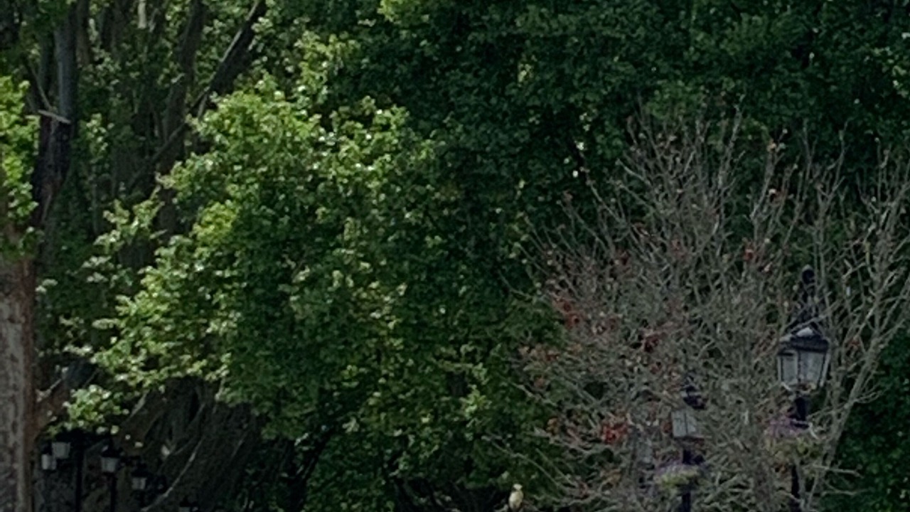 Photo of Others in Ponte de Lima
