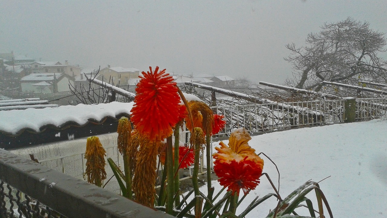 Photo of Outdoor in Castro Daire