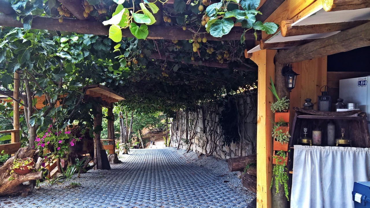 Photo of Outdoor in Castro Daire