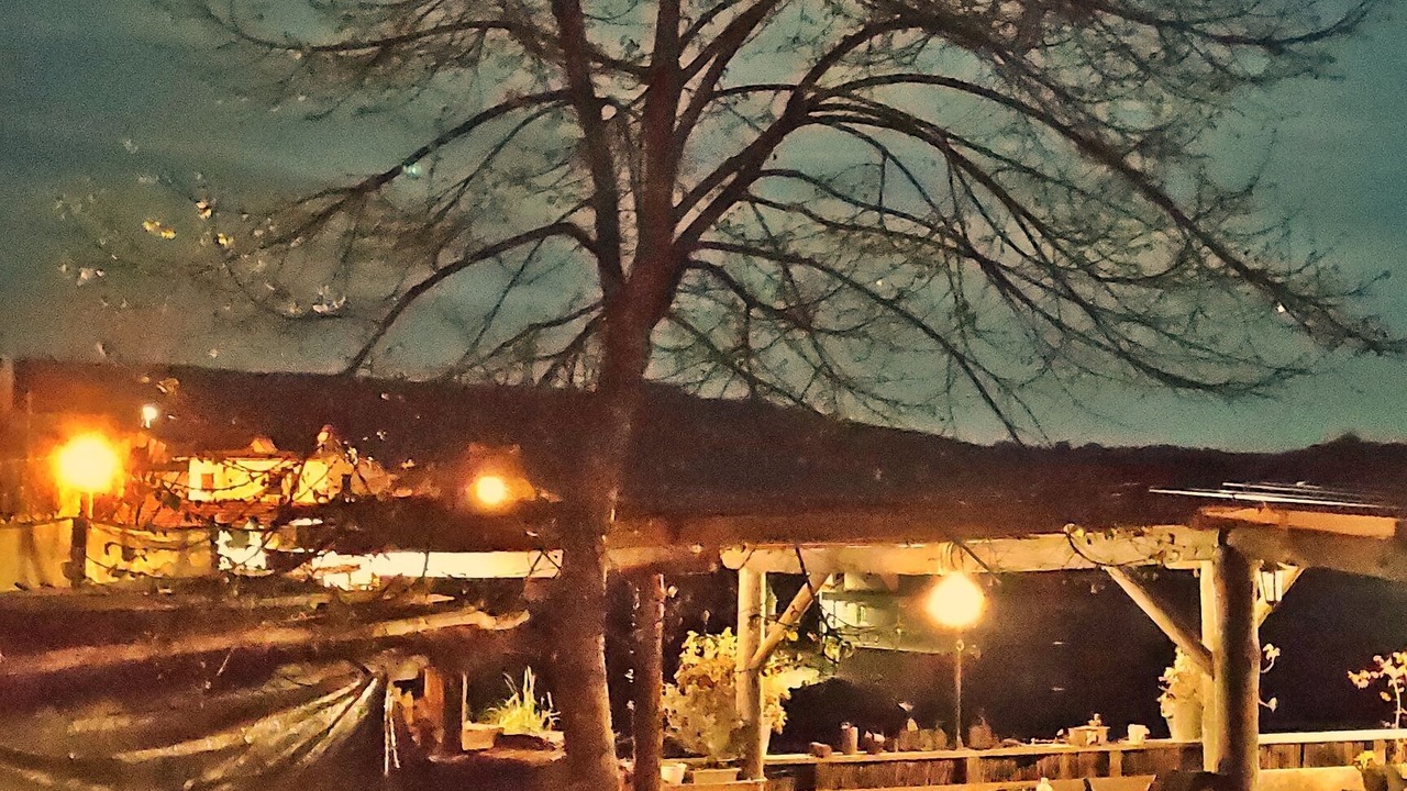 Photo of Patio Balcony in Castro Daire
