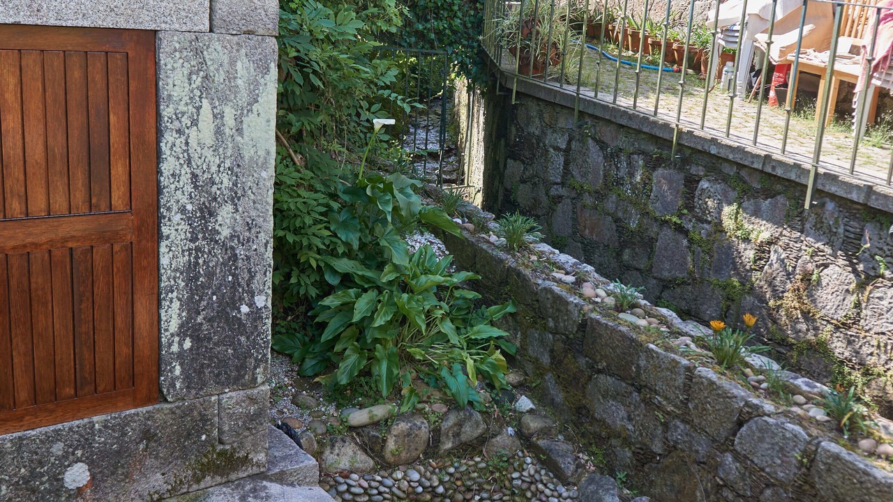 Photo of Outdoor in Caminha