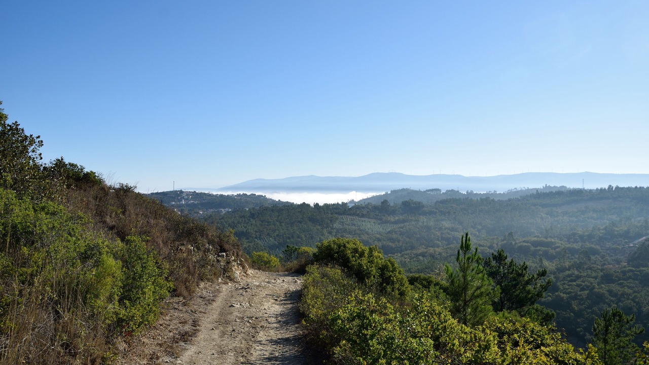 Photo of Outdoor in Penela