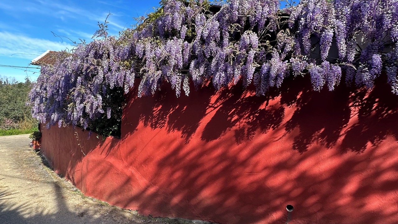 Photo of Outdoor in Cacia