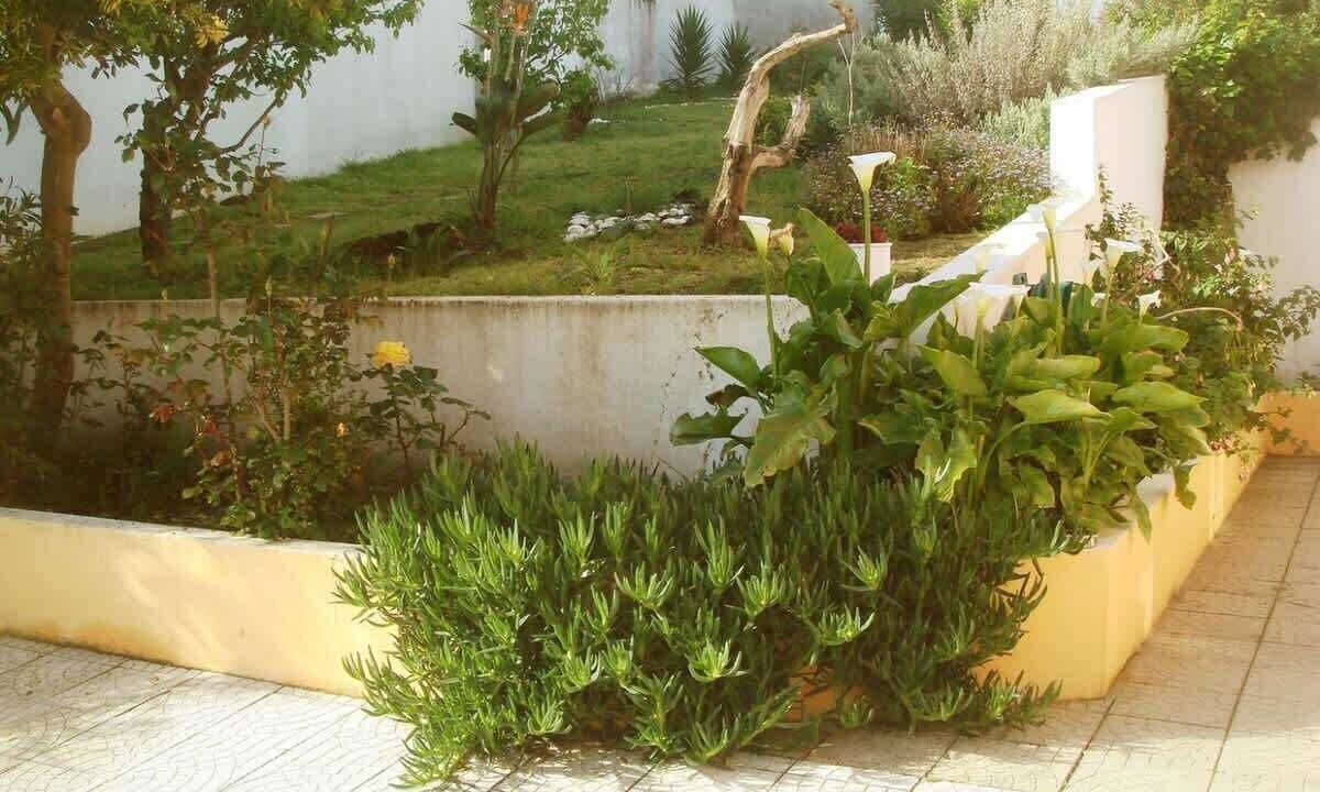 Photo of Outdoor in Atalaia