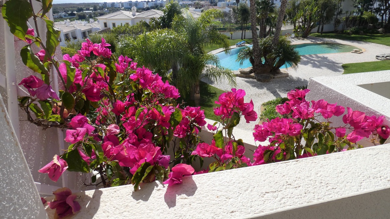 Photo of Outdoor in Telheiro