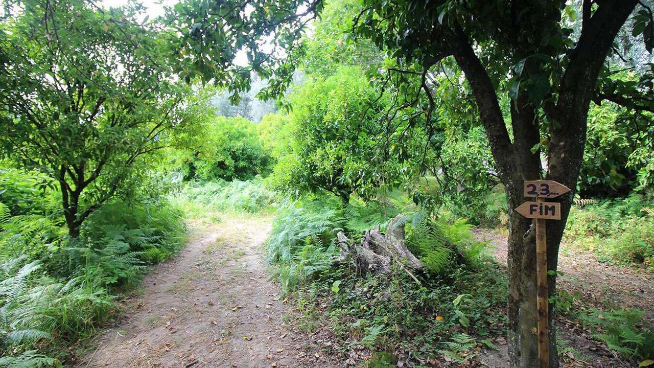 Photo of Outdoor in Goaes