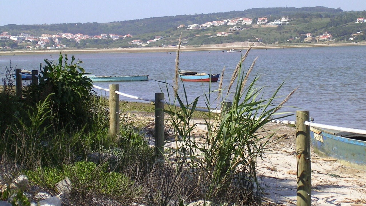 Photo of Others in Praia del Rei