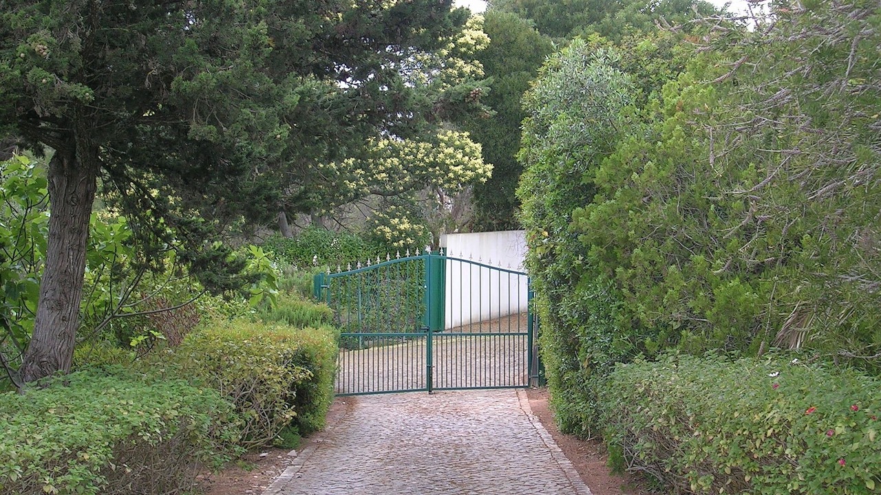 Photo of Others in Funchal