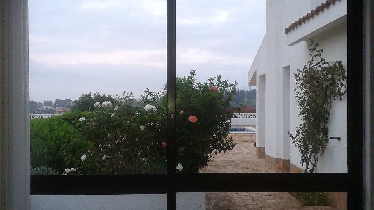 Photo of Outdoor in Funchal