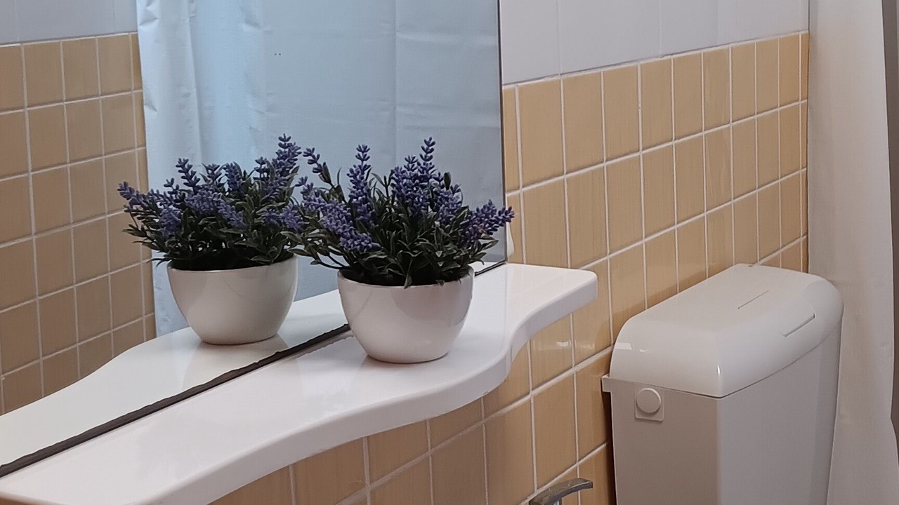 Photo of Bathroom in Afife