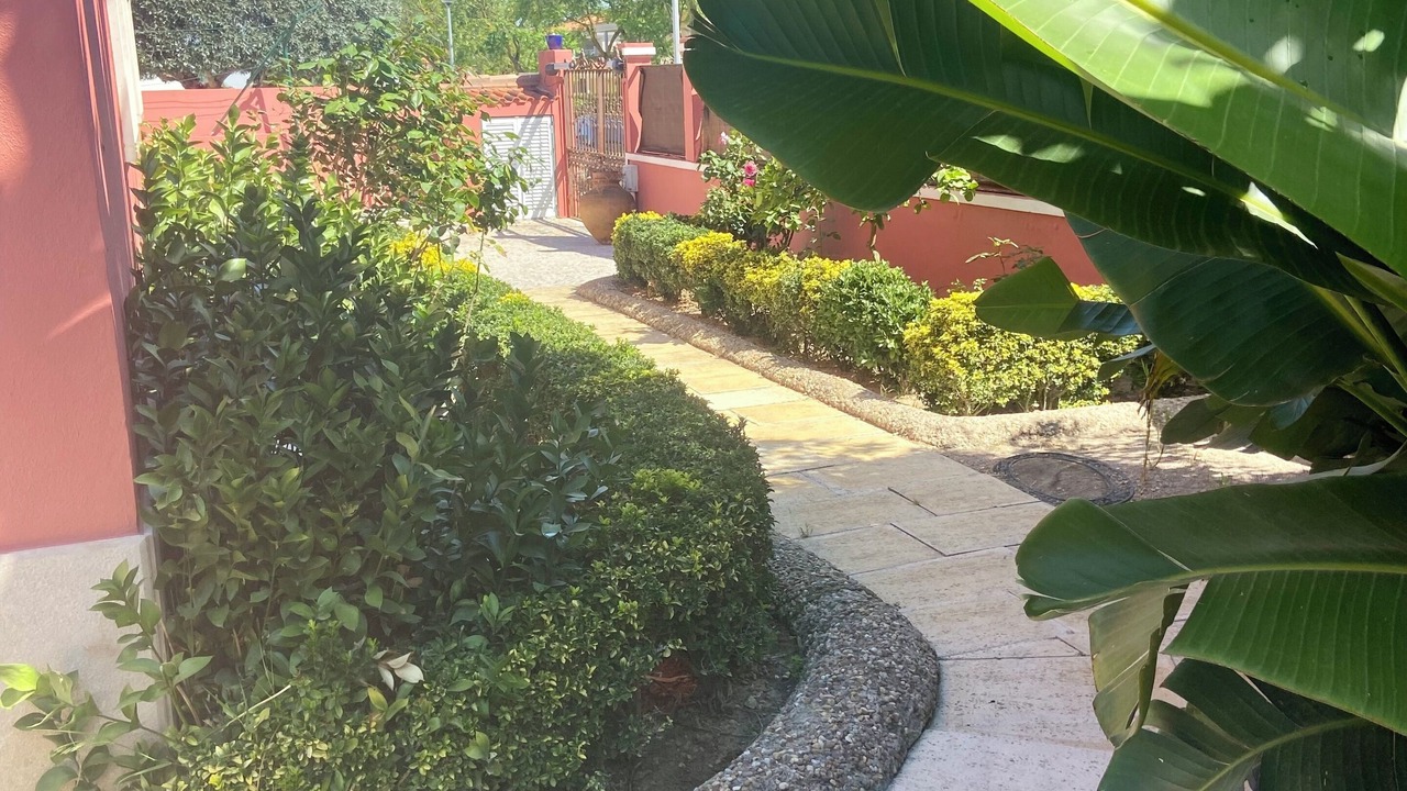 Photo of Others in Vila Nogueira de Azeitao