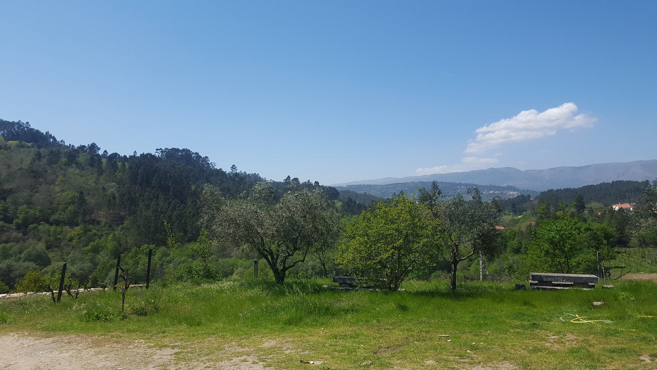 Photo of Outdoor in Sao Pedro do Sul