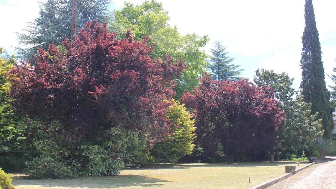 Photo of Outdoor in Sao Pedro do Sul