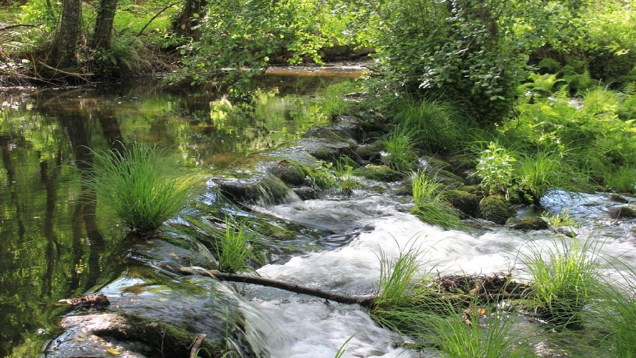 Photo of Outdoor in Sao Pedro do Sul