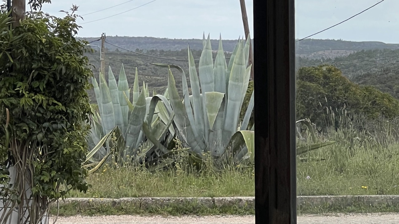 Photo of Others in Aljezur
