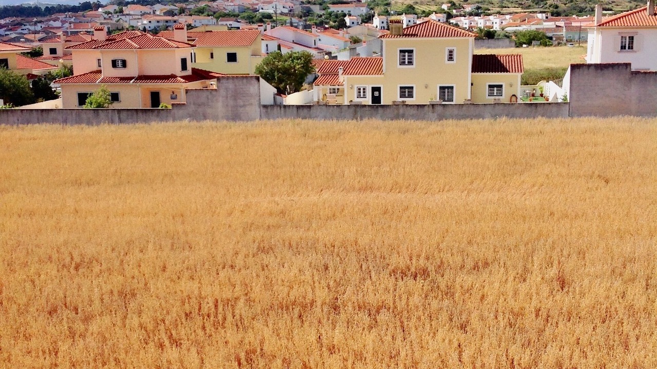 Photo of Outdoor in Olho Marinho