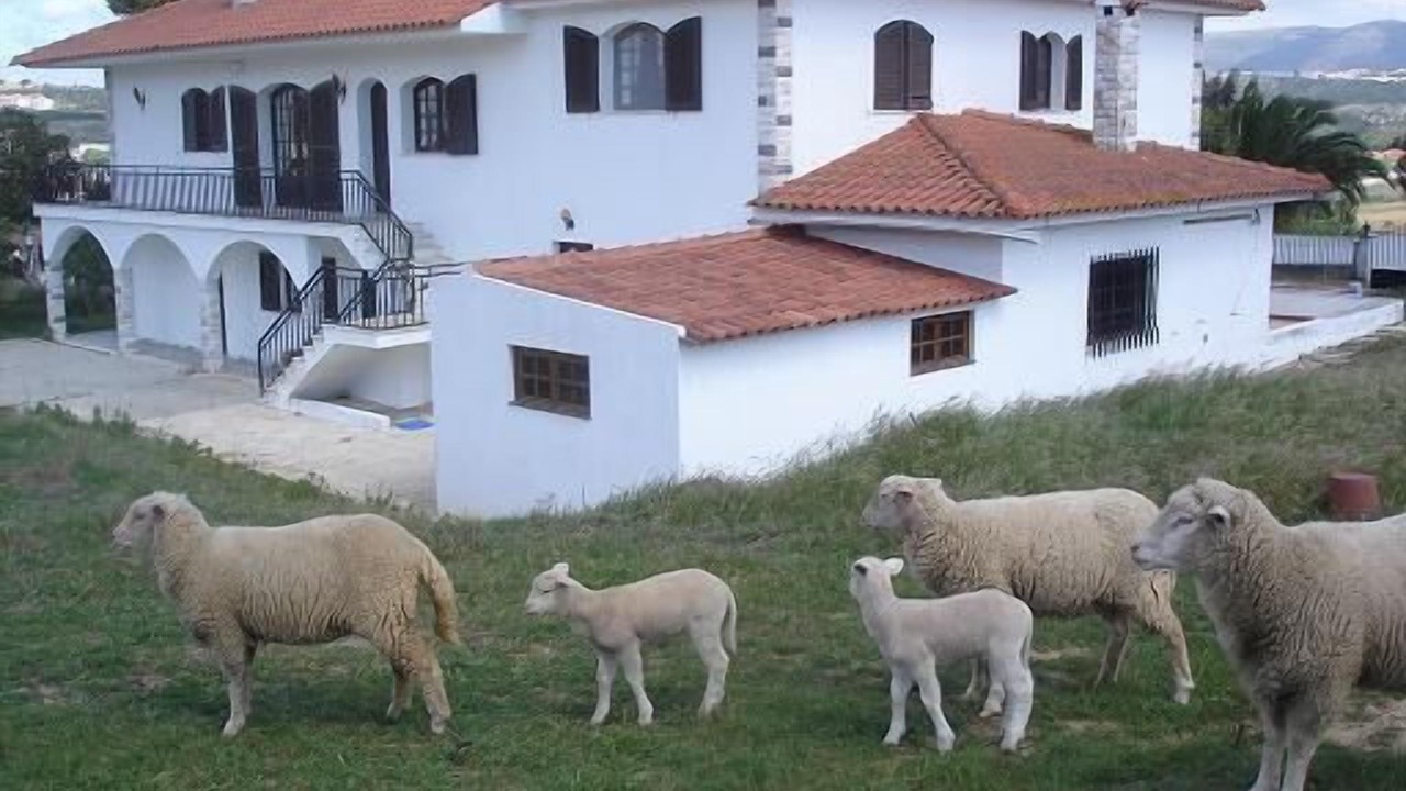 Photo of Outdoor in Alcobaca
