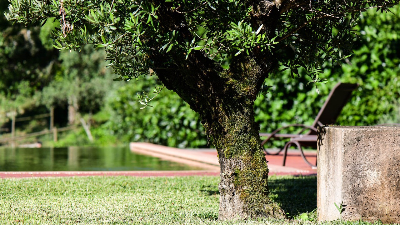 Photo of Outdoor in Cumeeira