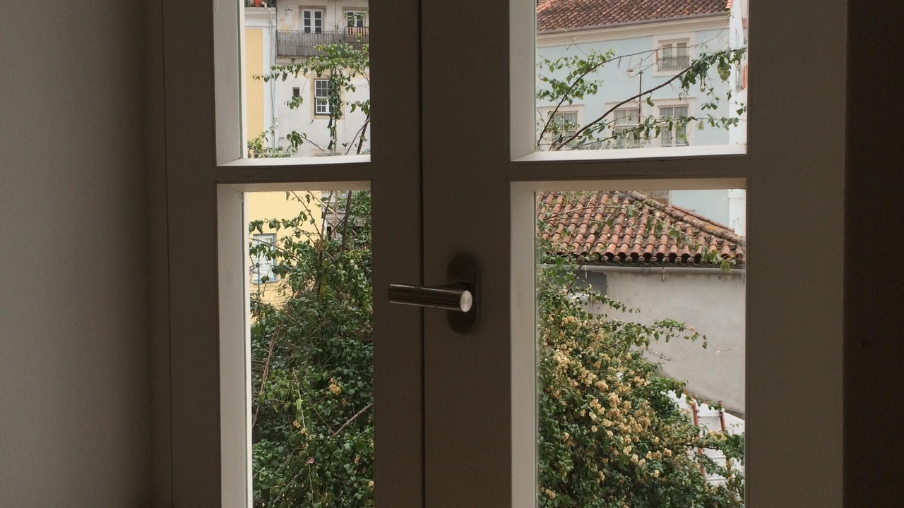 Photo of Others in Coimbra City Centre