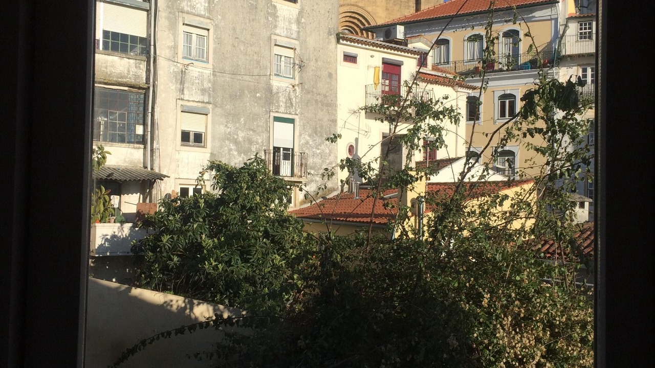 Photo of Others in Coimbra City Centre