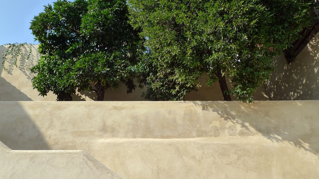 Photo of Outdoor in Coimbra City Centre