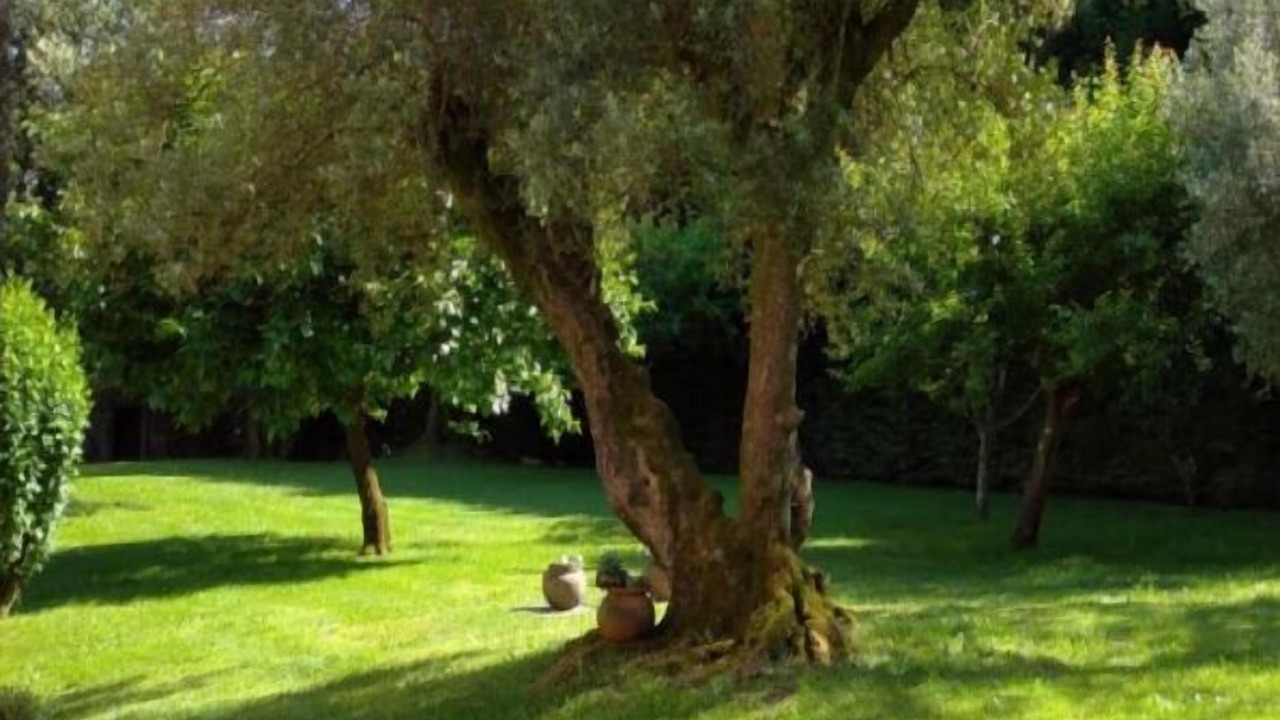 Photo of Outdoor in Barcelos