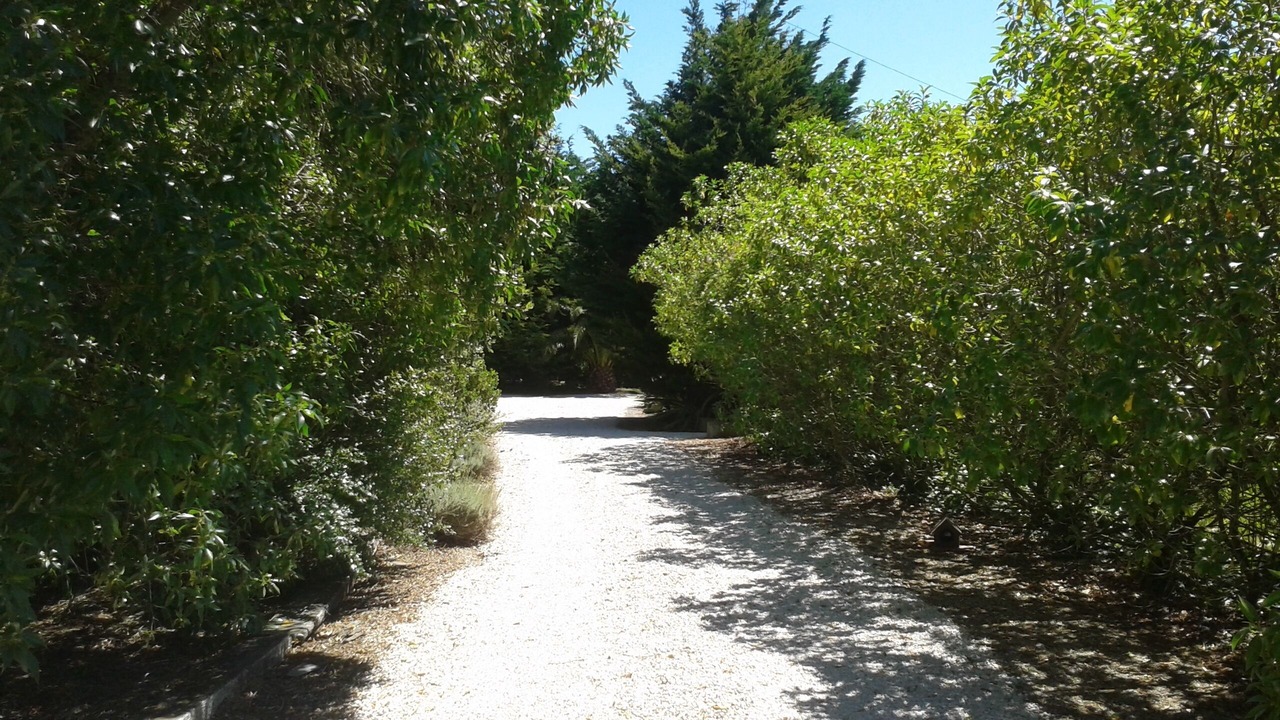Photo of Others in Lourinha