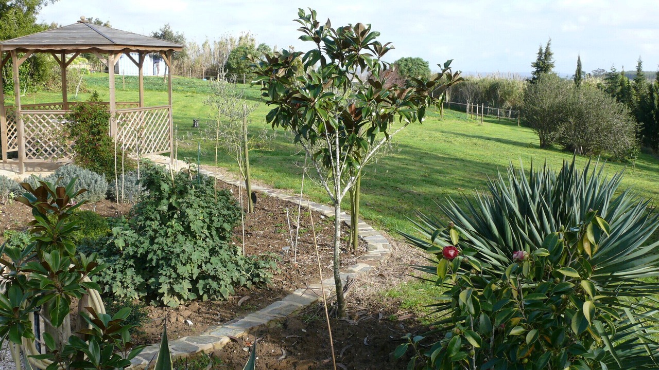 Photo of Outdoor in Lourinha