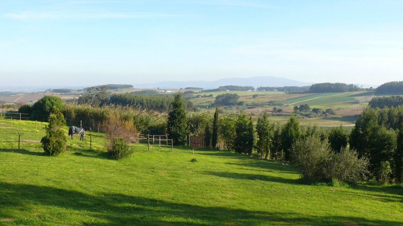 Photo of Outdoor in Lourinha