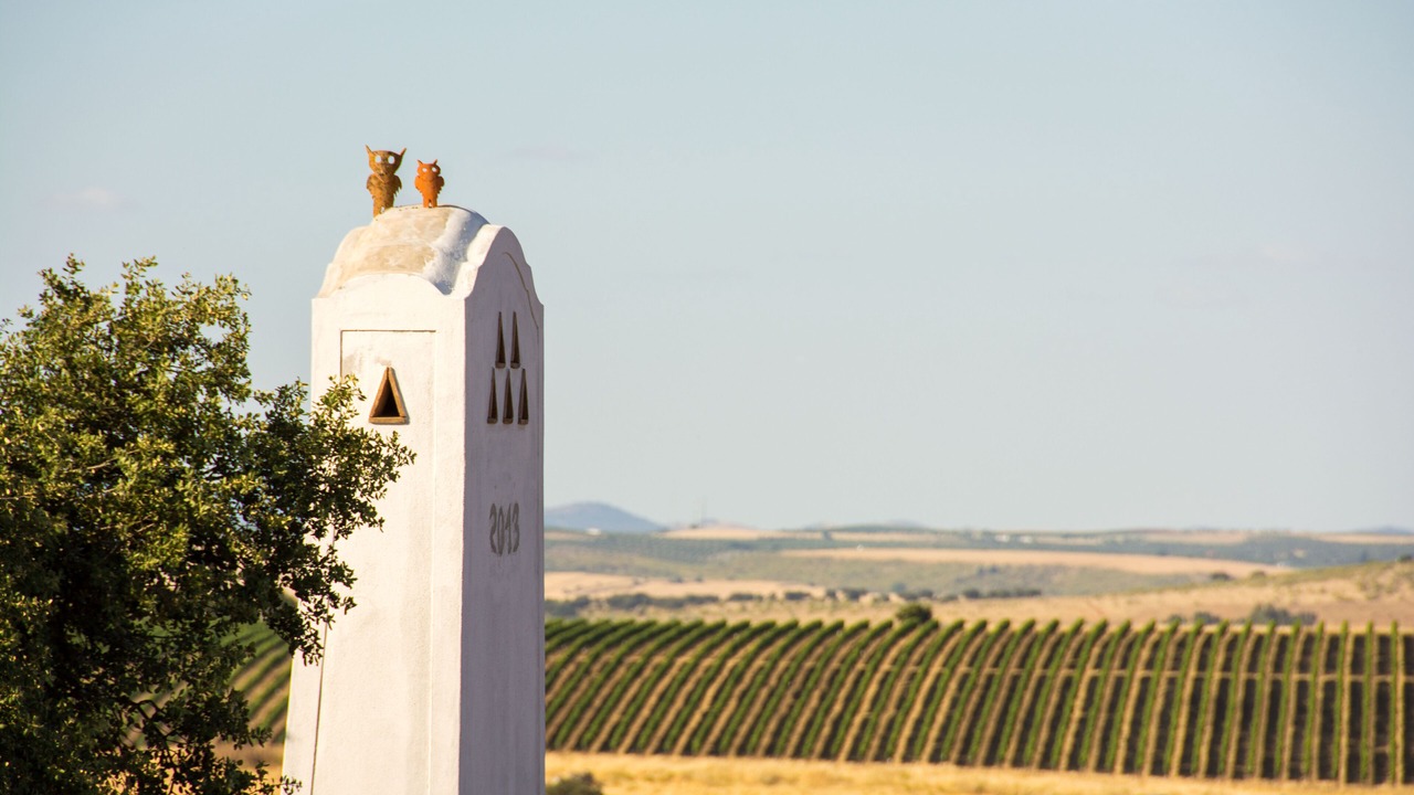 Photo of Others in Elvas