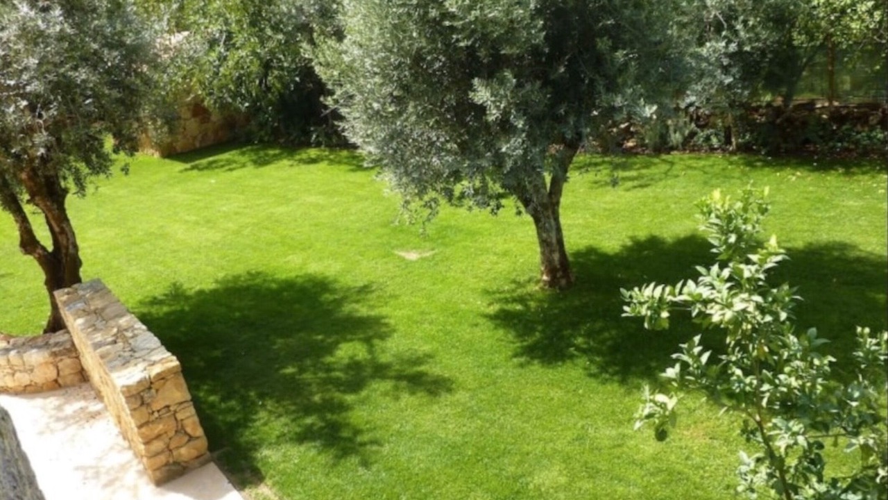 Photo of Outdoor in Alvaiazere