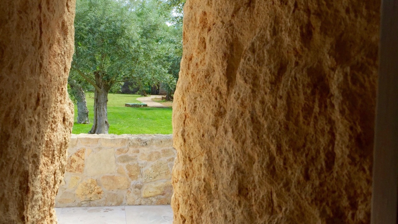 Photo of Outdoor in Alvaiazere