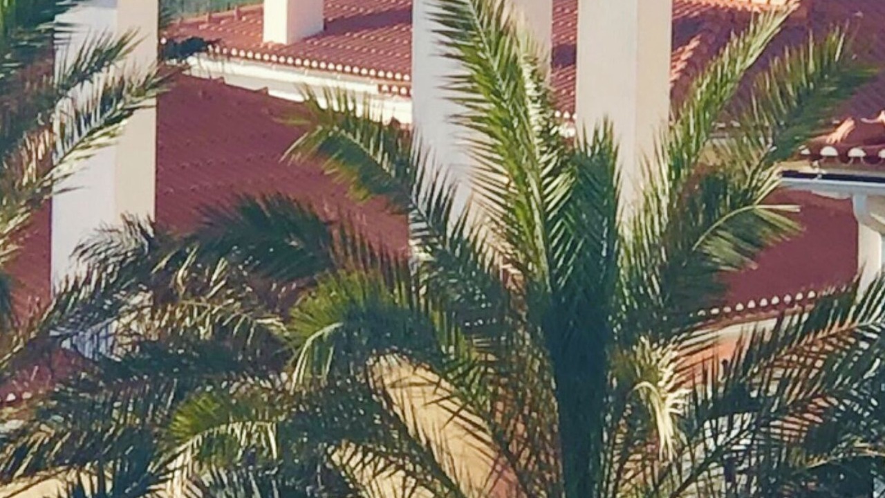 Photo of Outdoor in Praia del Rei
