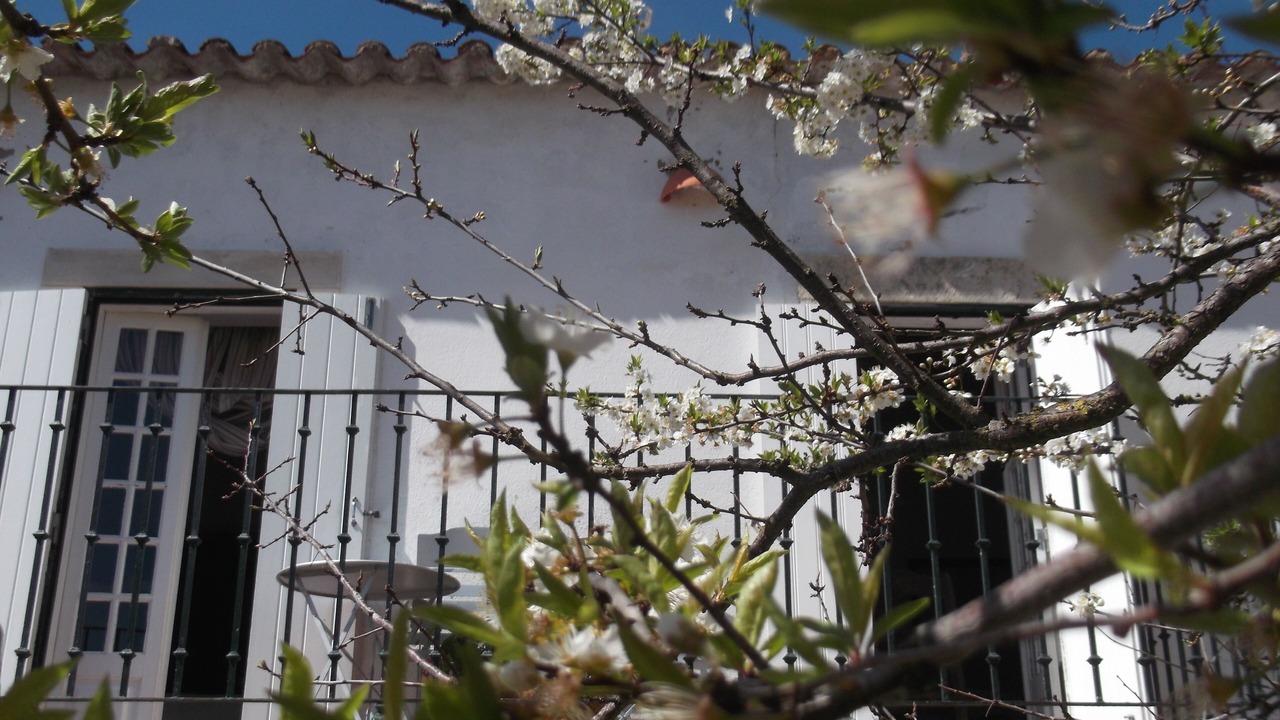 Photo of Outdoor in Obidos